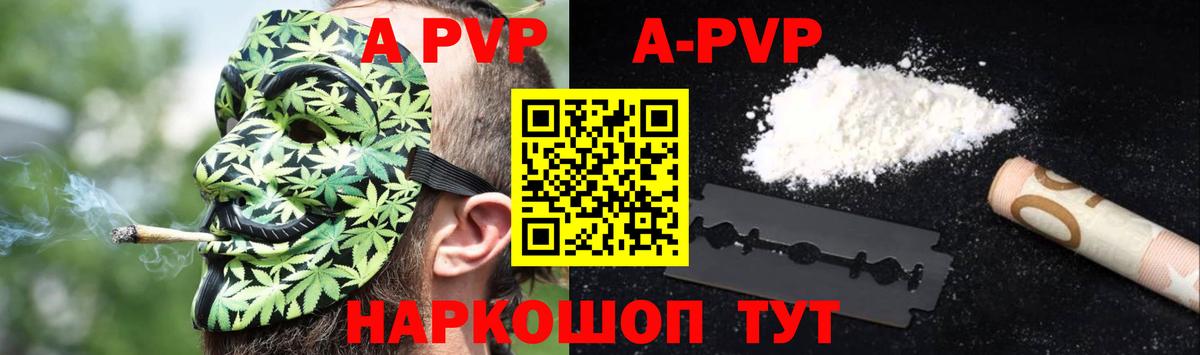 A PVP СК КРИС Гатчина