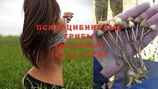 гашишное масло Белокуриха