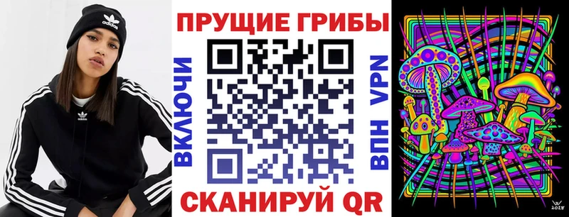 Галлюциногенные грибы MAGIC MUSHROOMS  Гатчина 