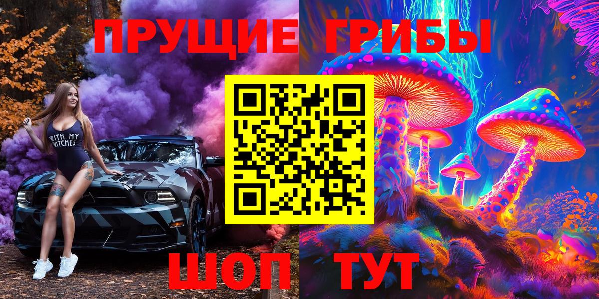Гатчина  Псилоцибиновые грибы ЛСД  Вход с VPN  Галлюциногенные грибы Magic Shrooms 