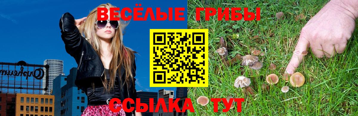 Псилоцибиновые грибы MAGIC MUSHROOMS Гатчина